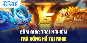 Cảm giác trải nghiệm trò Rồng Hổ tại RR88