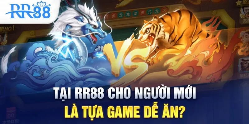 Rồng Hổ Có Phải Là Trò Chơi Dễ Thắng Nhất Tại RR88? 3 Có thực sự Rồng Hổ là tựa game dễ ăn?