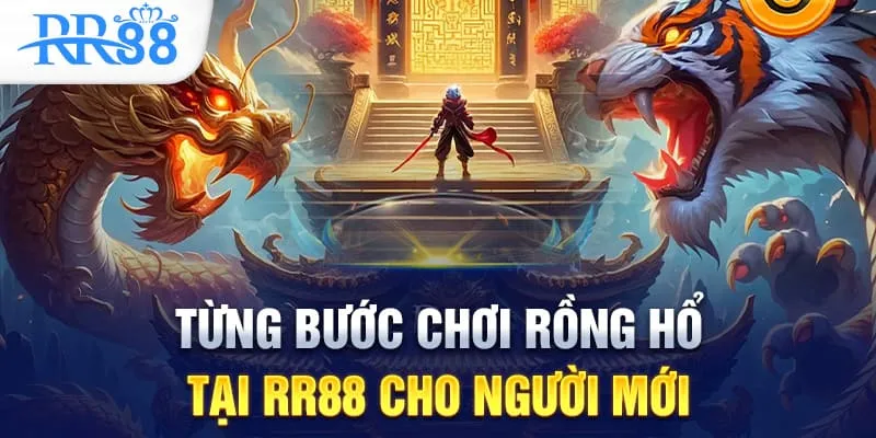 Rồng Hổ Có Phải Là Trò Chơi Dễ Thắng Nhất Tại RR88? 2 Từng bước chơi Rồng Hổ tại RR88 cho người mới